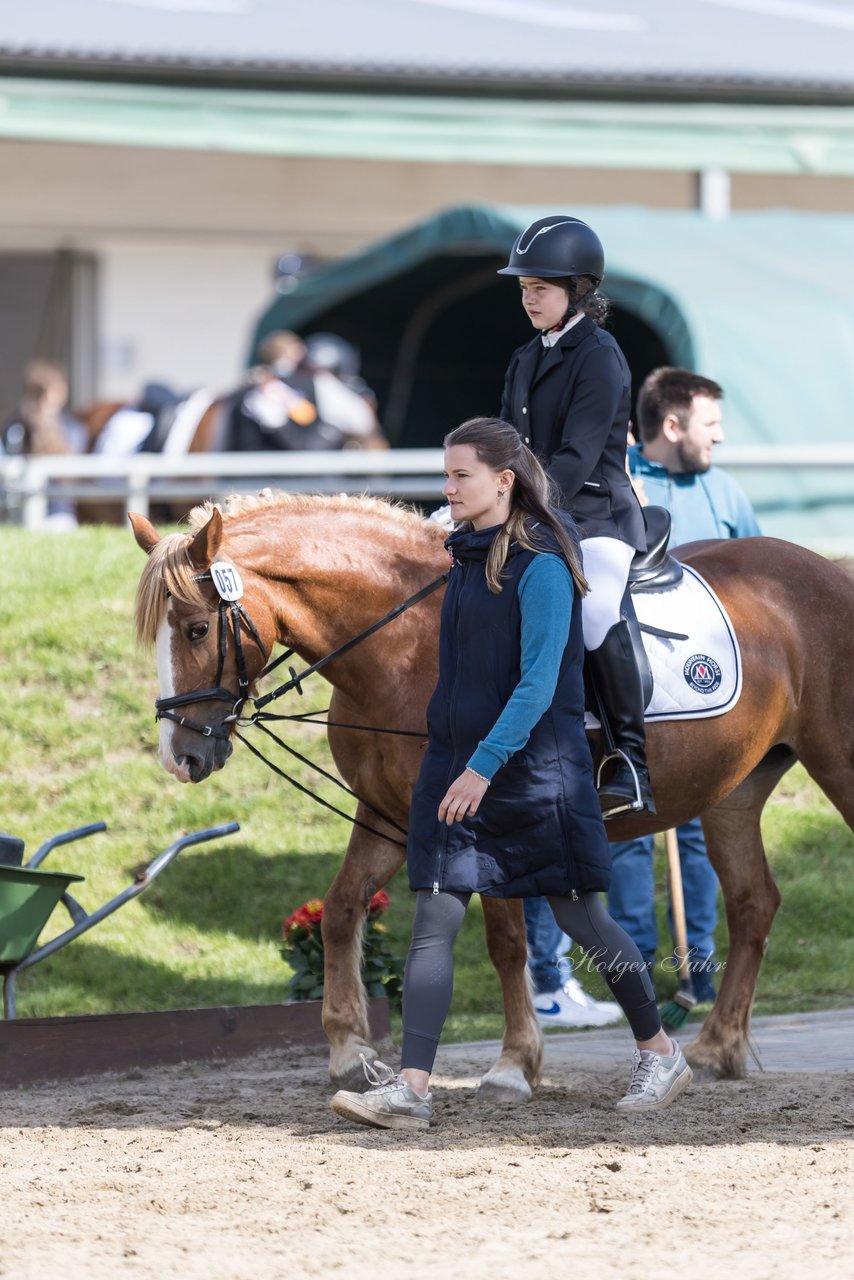 Bild 2 - Pony Akademie Turnier